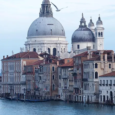 President Venezia